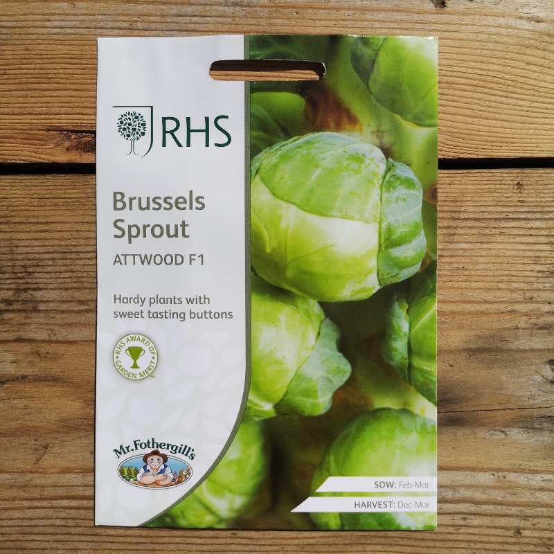 RHS Brussel Sprout Attwood F1