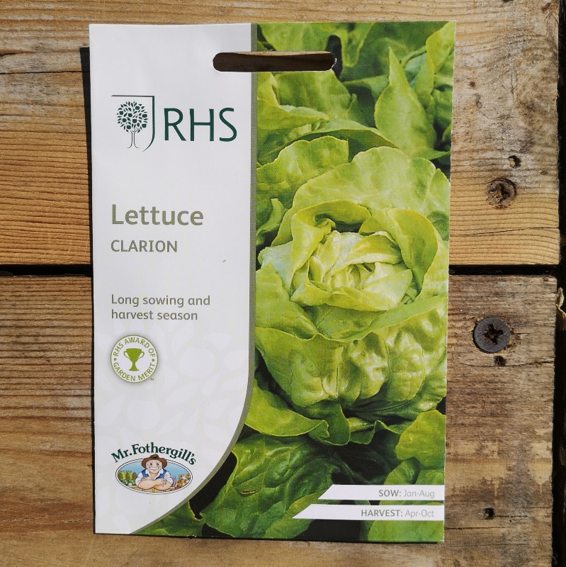 RHS Lettuce Clarion