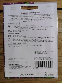 RHS Alyssum Violet Queen