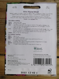 RHS Aster Alpine Mixed