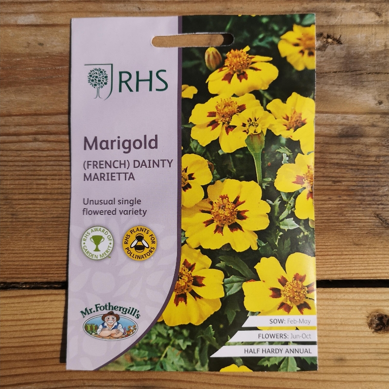 RHS Marigold (French) Dainty Marietta