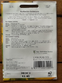RHS Rudbeckia Goldstrum