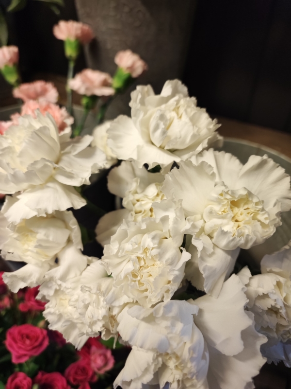 White Oxford University Exam Carnations