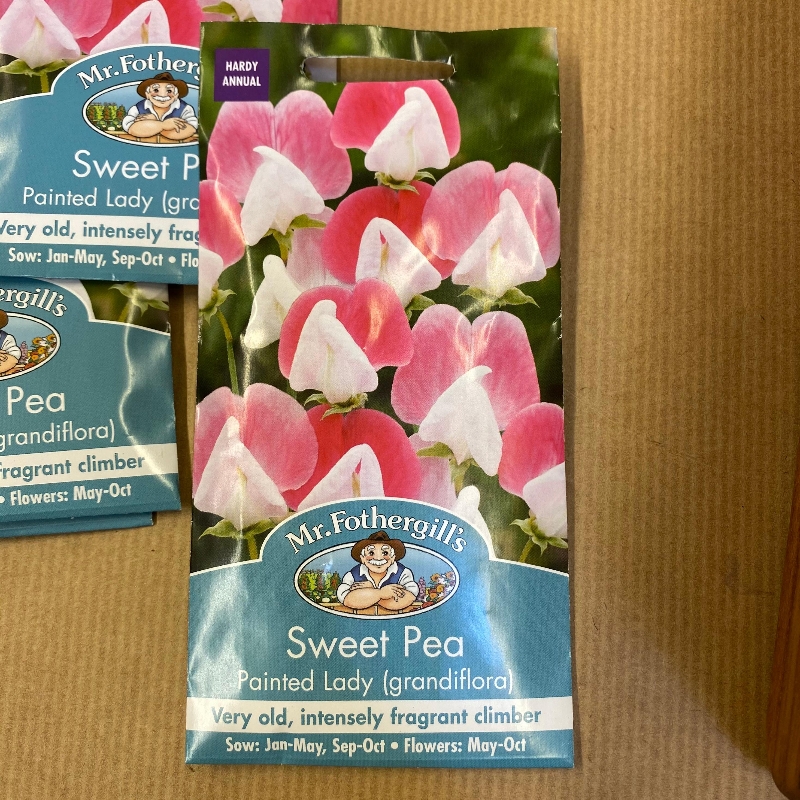 Sweet Pea Painted Lady (grandiflora)