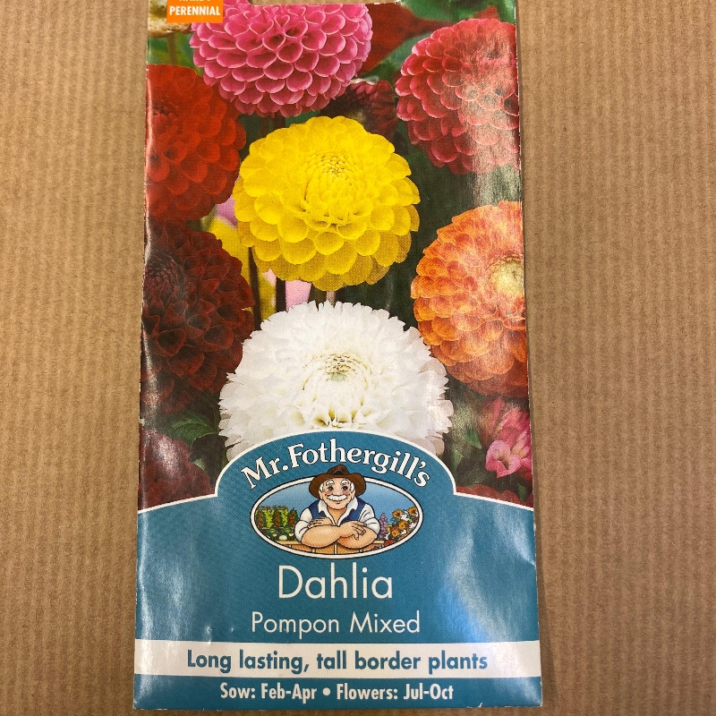 Dahlia pompom mixed