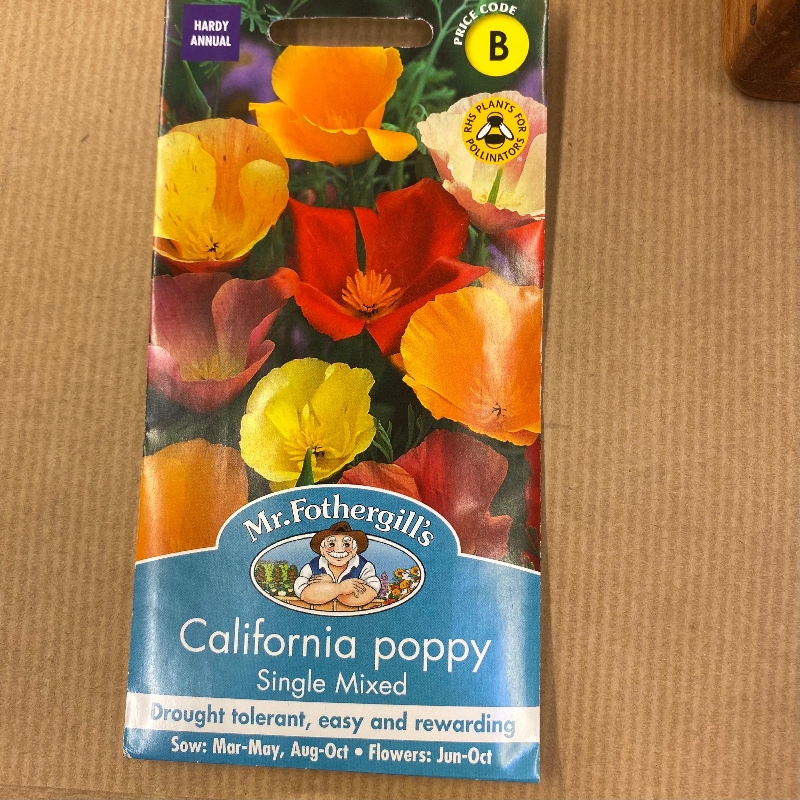 California Poppy single mixed