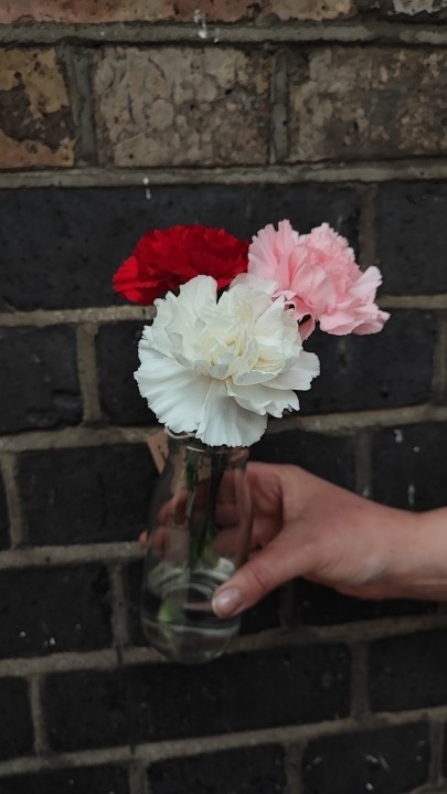 Oxford University Exam Carnation Bottle