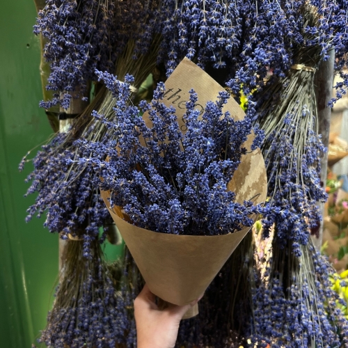 Dried Lavender