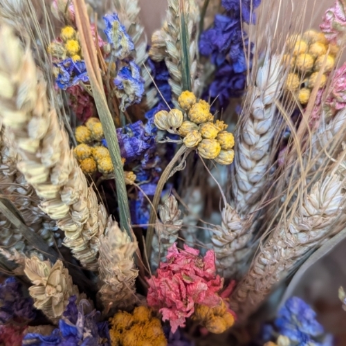 Colourful Dried Flower Selection