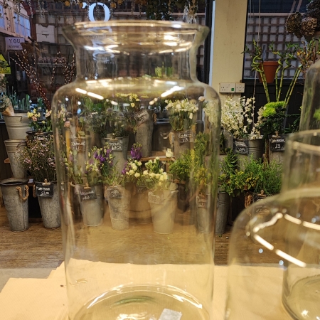 Medium Clear Glass Vase