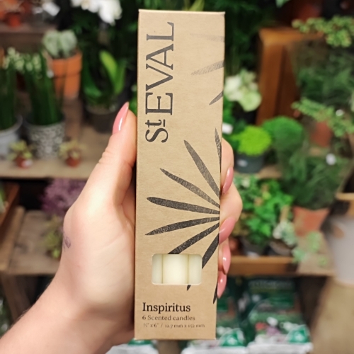 The Scented Edit