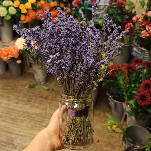 The Scented Edit