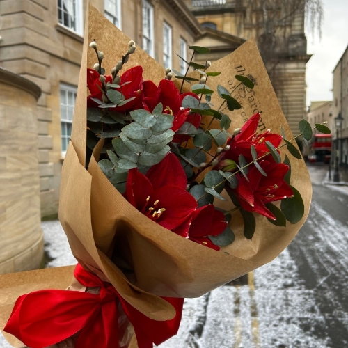 Amaryllis Wrap