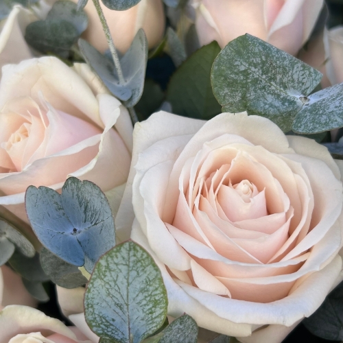 Pink Dorchester Rose Bouquet
