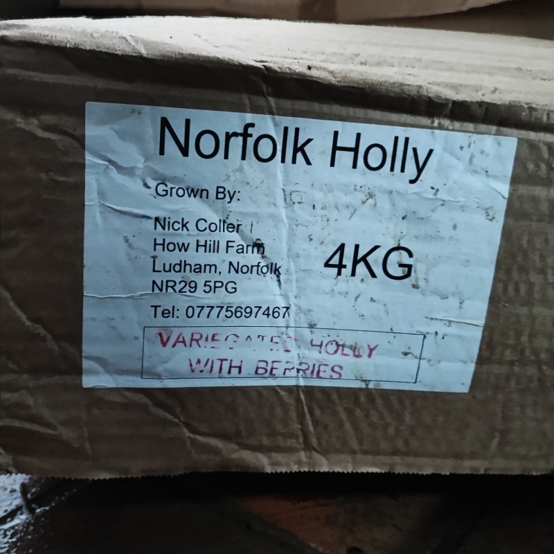 4KG Box of Norfolk Holly   Variegated