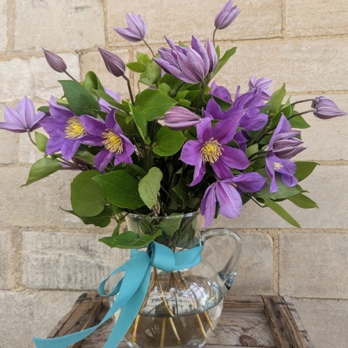 Clematis Jug