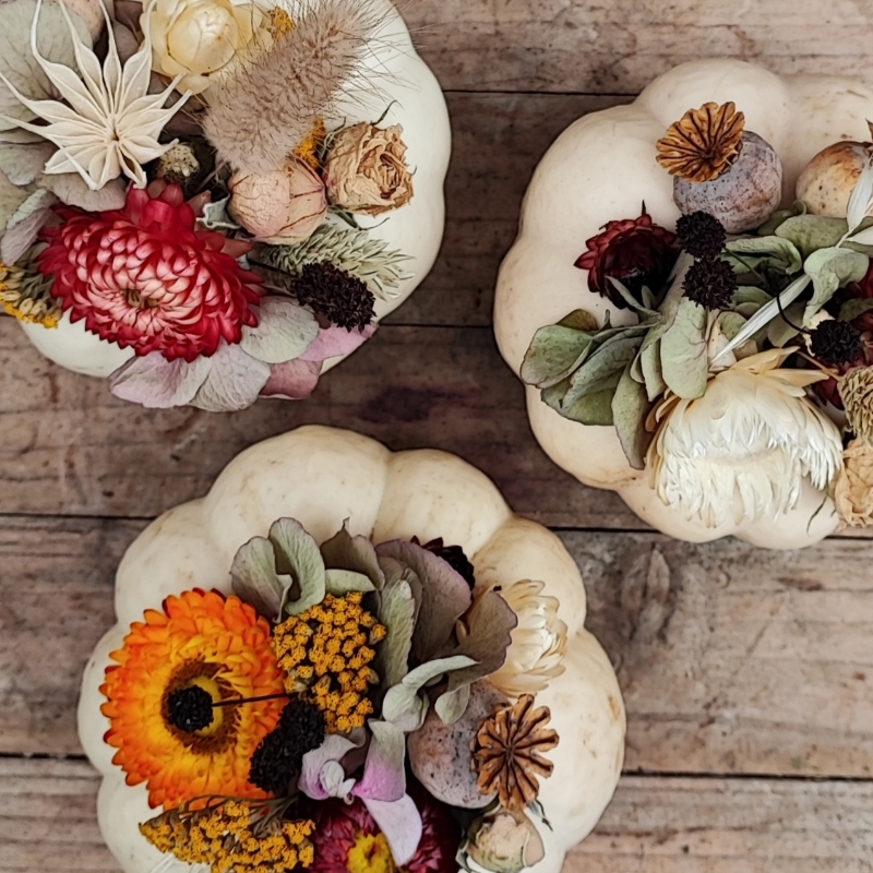 Mini Pumpkin Trio