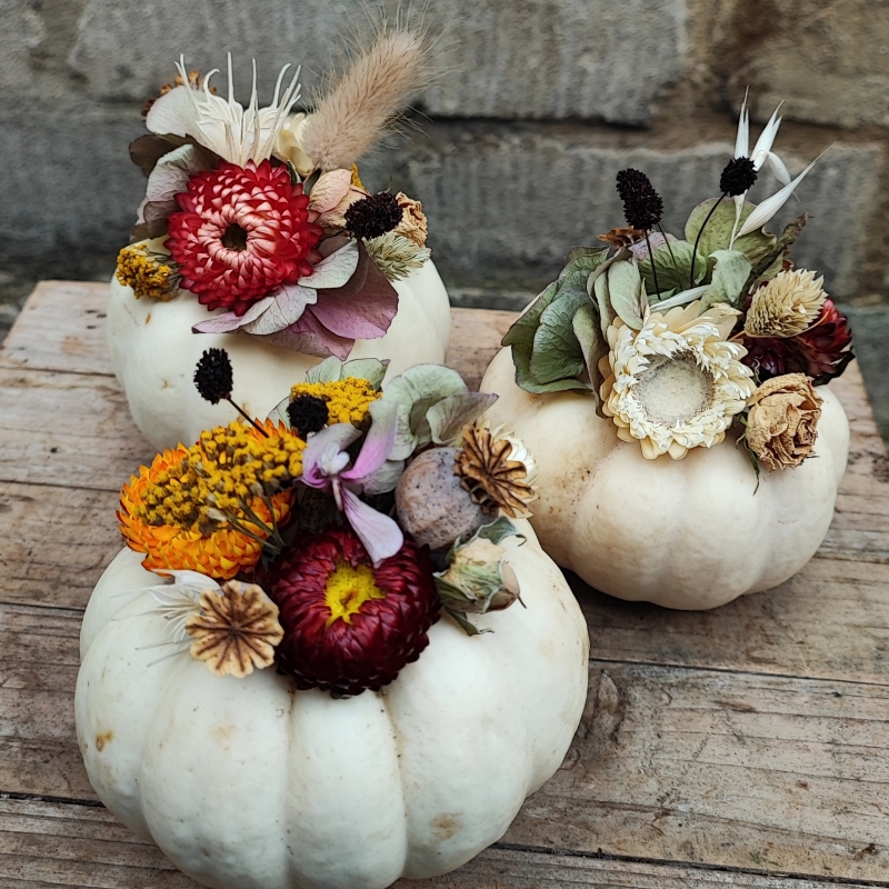 Mini Pumpkin Trio