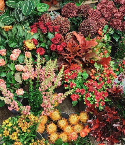 Paymen link for Lucy W