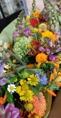 Payment link for Benjamin and Bella