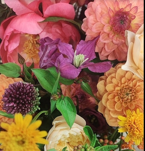 Payment link for Nicole