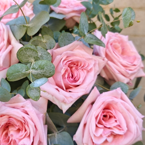 Pink Ohara Rose Bouquet available form 15th August