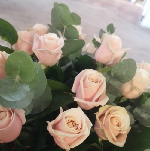 Pink roses for Yana