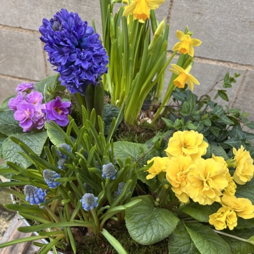 Round Mother's Day Planter