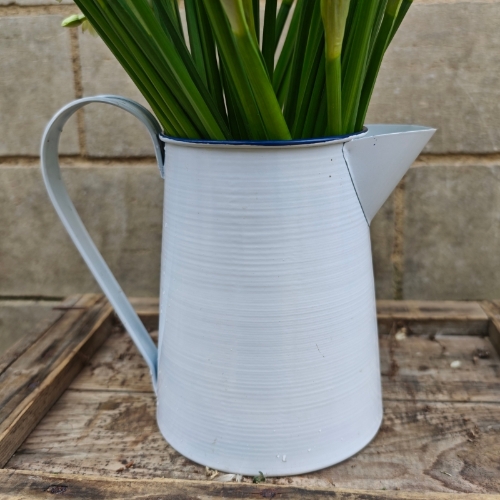 Scented Scilly Isle Narcissi Jug