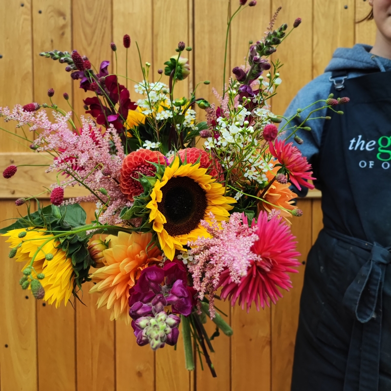 Seasonal Dahlia Mix