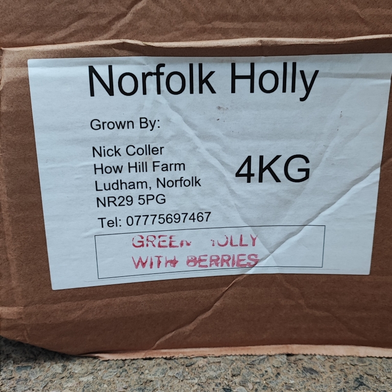 4KG Box of Norfolk Holly   Green