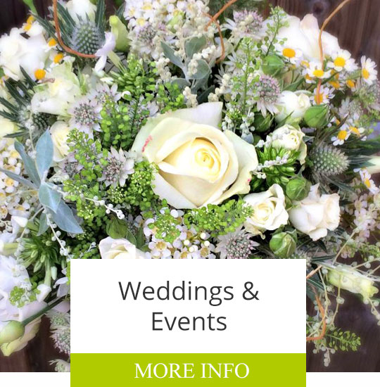 The Garden of Oxford For Great British Flowers