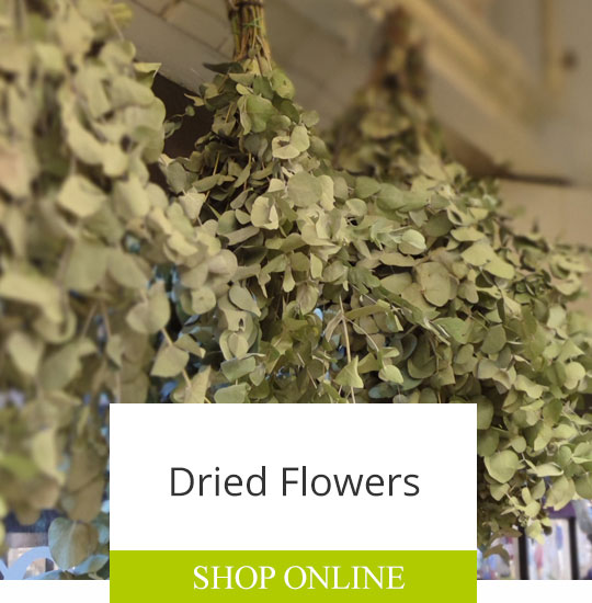 The Garden of Oxford For Great British Flowers