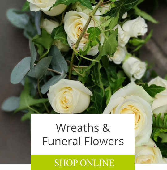 The Garden of Oxford For Great British Flowers